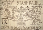 Stammbaum-Bild 1.JPG